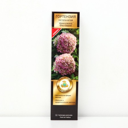 Hydrangea blizzard suite "Pearl of the festival" 1 pc, tube, spring 2025
