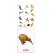 Educational cards of Doman "Birds", on the paperwork, 20 p.