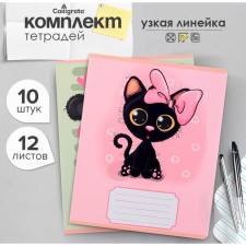 A set of notebooks of 10 pieces, 12 sheets in the narrow line Calligrata 