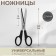 Scissors are universal, mowed blade, 8 ", 20 cm, color mix