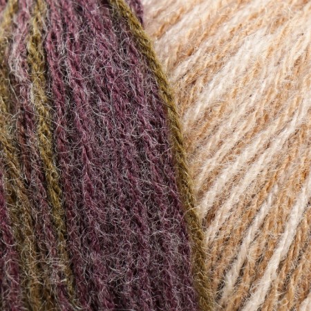 Yarn "Angora Gold Batik" 20% wool, 80% acrylic 550m/100g (5850)-3