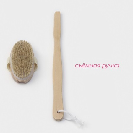 Massage brush for the body of the share, with a pen, natural bristles-1