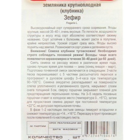 Strawberries "Zephyr", 10 pcs-2