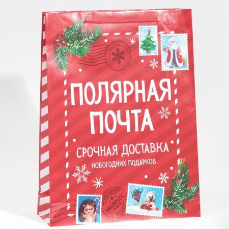 Packet Laminated Vertical Polar Mail, L 28 x 38 x 9 cm, New Year