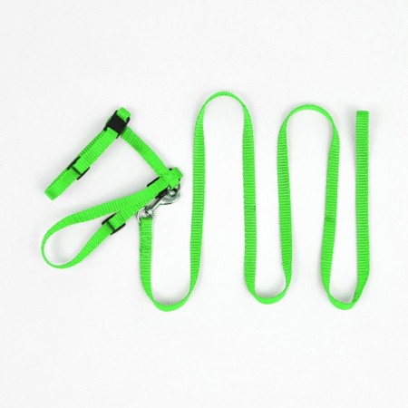Kit for cats, width 1 cm, Osh 16.5-27 cm, fire 21-35 cm, leash 120 cm, green-6