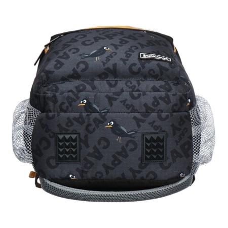 Youth backpack 42 x 27 x 19 cm, Erich Krause ActiveLine Ergoback 22l, Happy Capy-6