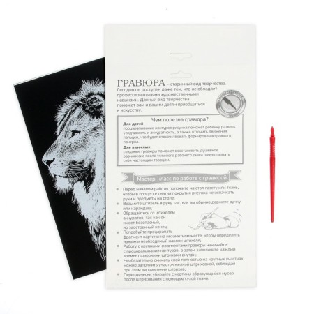 Engraving “lion” with a metallic effect “silver” A4-4