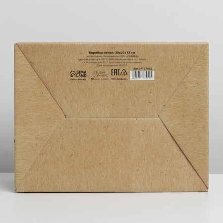 Box-Penal, Gift packaging, “something very cool”, 30 x 23 x 12 cm-5