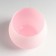 Climber "pastel pink" 10.5x11.5 cm, 760 cm