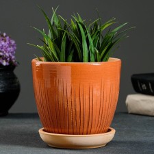 Flower pot 