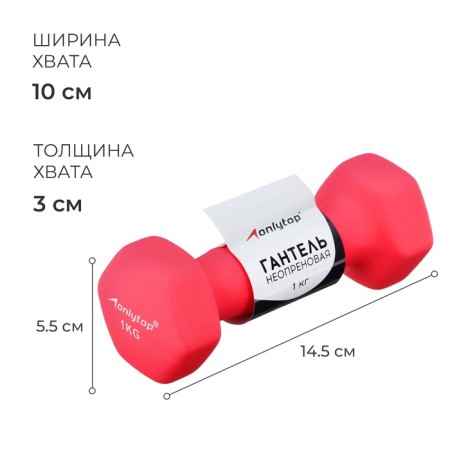 Neoprene dumbbells onlytop, 1 kg, fuchsia color-1