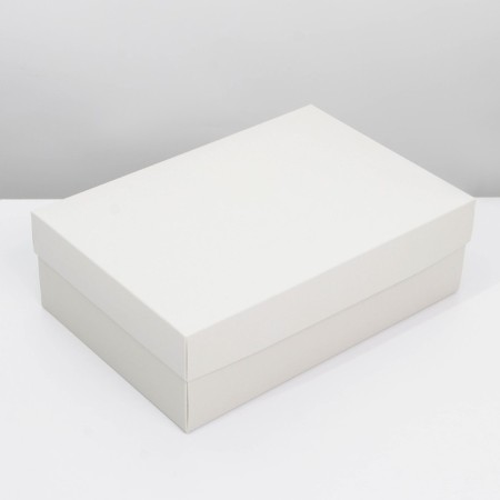 Gift folding box, packaging, "beige", 30 x 20 x 9 cm-2