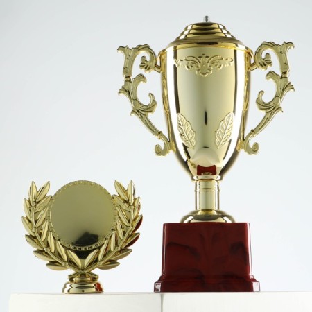 Cup 014, award figure, gold, plastic stand, 32.5 × 16 × 8.5 cm.-2