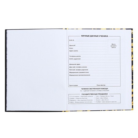 Universal Grade 1-11 Diary, 48 sheets "Art Banan", integral cover, matte lamination, selective UV-fluid-4