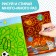 A reusable book with the tasks “Write and Style. Labyrinths and confusion ”, 12 p.