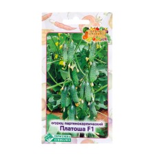 Seeds of the Platos cucumber, F1, 5 pcs