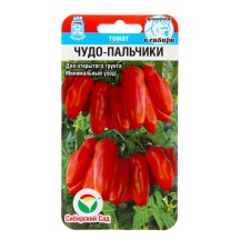 Seed Tomat 