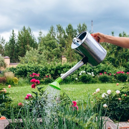 Watering can, 5 l, with a diffuser, galvanized, without a pattern, nose d = 25 mm-6