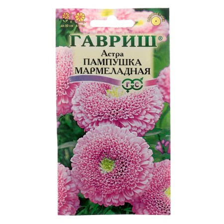 Flower seeds Astra pampushka marmalade, pomponal, pink, o, 0.3 g