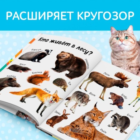 The book in solid binding "The first 500 words of the baby", 80 p.-4