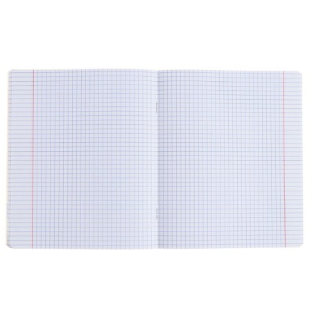 Subject notebook, 48 sheets, cage, physics, erichkrause "BE Informed", plastic cover silk-screen cover, Belly Beliac block 100%, info block-4