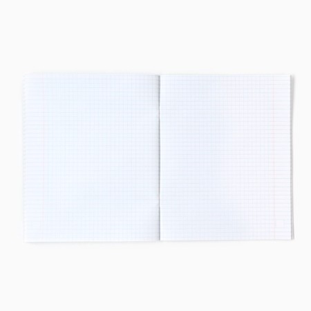 A set of notebooks of 48 sheets, in a cage, A5, gravity farz-1