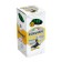 Ballic handle Corvina "51 Classic" Green ink, 1.0 mm node, transparent case