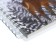Note book A6-, 80 sheets in a cage on the crest of Cute Journal mini, plastic cover, elastic band, tinted block 80 g/m2, mix