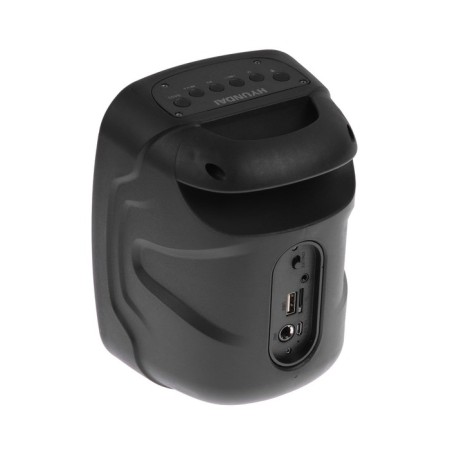 Portable column Hyundai H-PS1005, 20W, BT, Microsd, USB, AUX, FM, 1800 Mach, Black-4