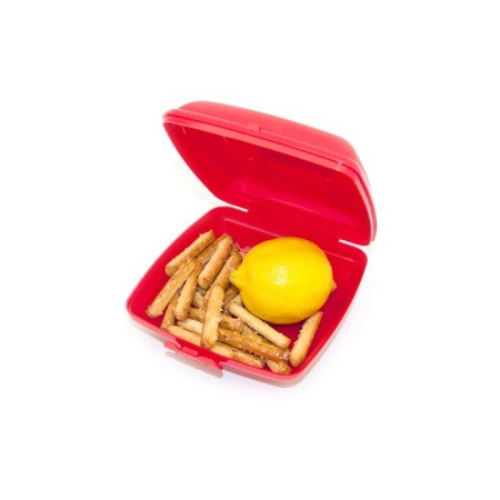 Oursson lunch box, for Sandwitsy, 14.5 × 14 × 5.2 cm-5