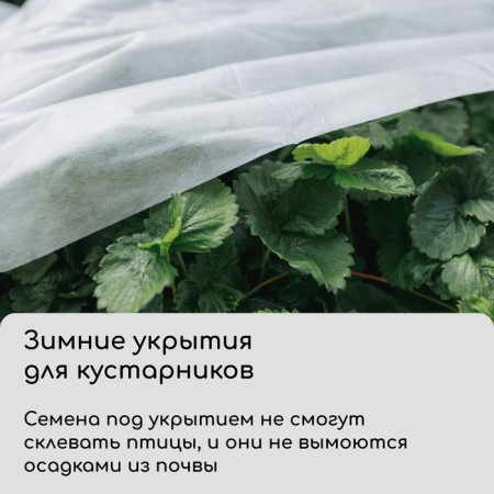 Covering material, 10 × 2.1 m, density 60 g/m², spanbond with UV stabilizer, white, Greengo, economy 30%-5