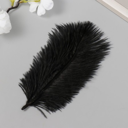 Decorative ostriches "Black Night" h = 15-20 cm-1