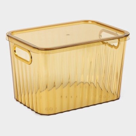 Storage container with a lid "City", 25.5 × 18 × 16 cm, color mix-6