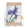 Photostes "Summer Paints", Saten, size 145x265 cm, 2 pcs