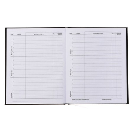 Universal diary for grade 1-11 RUN FASTER, hard cover, artificial leather, silkography, lies, 80 g/m2-4