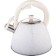Metallic kettle Winner WR-9210, 2.7 L