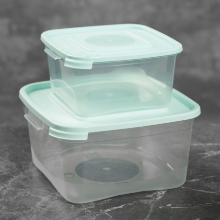 A set of food containers "Cascade", 2 pcs: 460 ml, 1 l, color mix-10