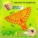 Carnival set "Fairytale Firebird" cape, bandage