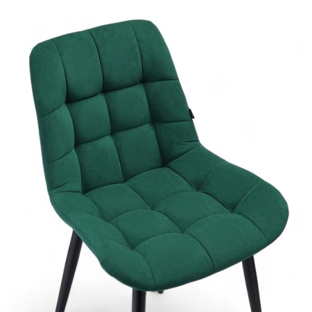 Chair president, green software-5