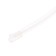 Cartage neon thread for lighting salon, feeder 12 V, 5 m, white power adapter
