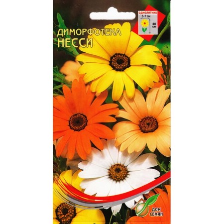 Flower seeds dimorphothek "Nessie" House of seeds, o, 30 pcs