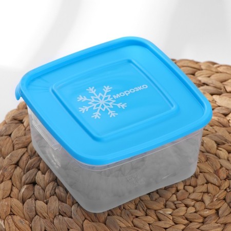 A set of square containers for freezing Morozko products, 1 l, color mix-2