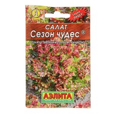 Seeds Salad 