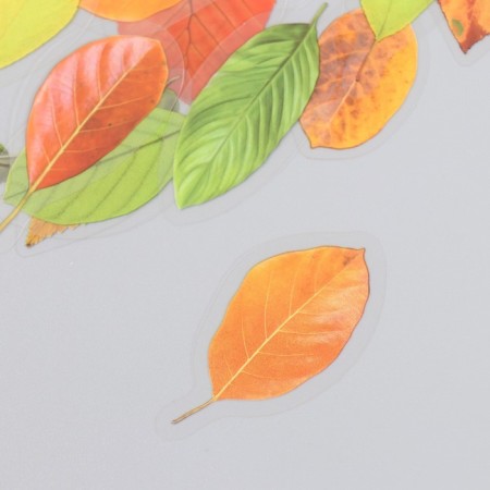 Stickers for creativity plastic "Autumn leaves" set 40 pcs 0.3x8x14.8 cm-1