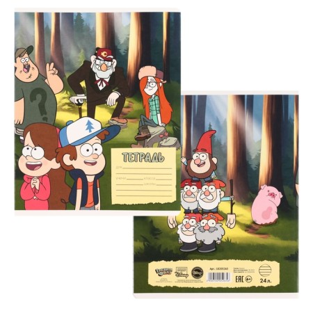 Notebook in a line of 24 sheets, 5 types of mix, cover coated cardboard, gravity farz-4