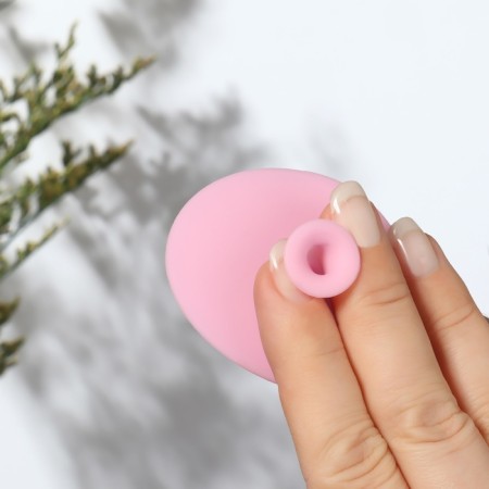 Washing brush "Oval" on a suction cup, 6.3 × 5 cm, color mix-4