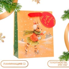 Gift package 