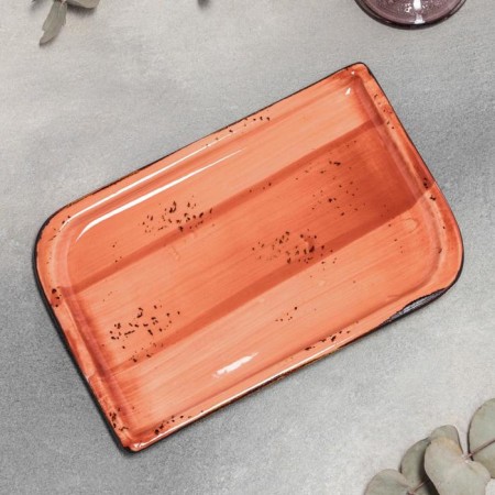 Porcelain rectangular "Lateritis", 24 × 15 cm, orange color-1