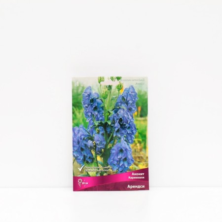 Aconit "Karmikhel Arendi", 1 pc, rr I, Spring 2024