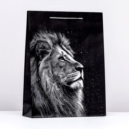 Gift package "Leo", 33 x 42.5 x 10 cm